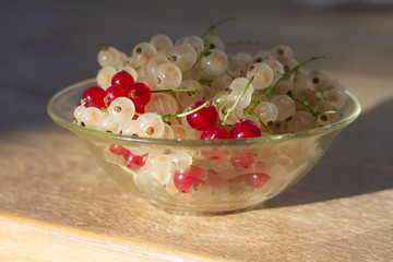 White and red currant inside a glass retro bowl on wooden table