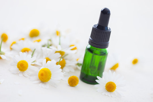 aromatherapy essential oil with camomile flowers