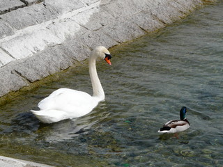 nature