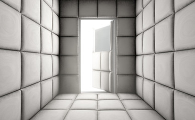 Empty Padded Cell With Open Door