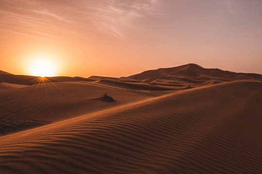 desert © Oliver