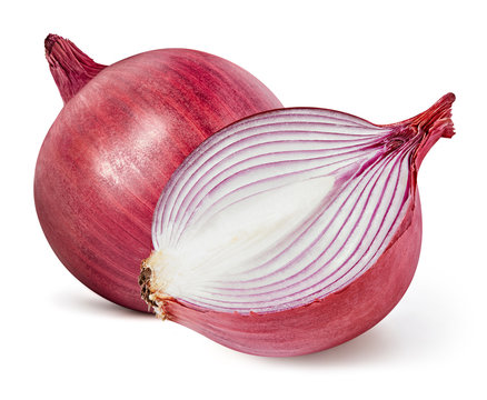 onion Isolated on white