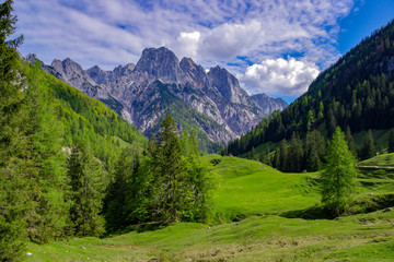 Fototapeta na wymiar Panorama of mountains in the alps in bavaria 