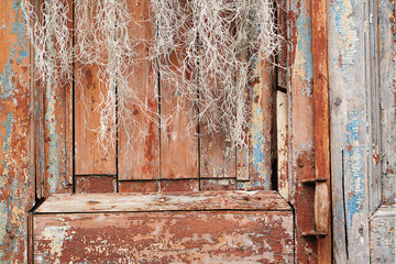 old peeling multi-colored wooden door