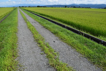 農業専用道路