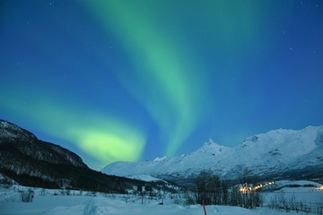 The northern lights (Aurora Borealis) over Laksvatn, Troms by a frozen fjord