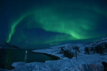 Naklejka premium The northern lights (Aurora Borealis) over Seljelvnes, Troms by the sea and the snowy mountains
