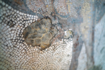 archaeology and historical mosaic works