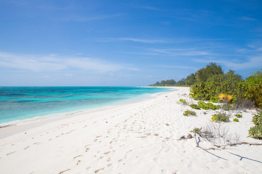 Seychelles  Bird Island Beach with Palms and white Sand Paradise