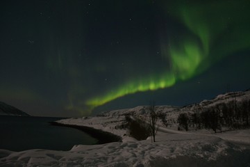 Fototapeta na wymiar The northern lights (Aurora Borealis) over Seljelvnes, Troms by the sea and the snowy mountains