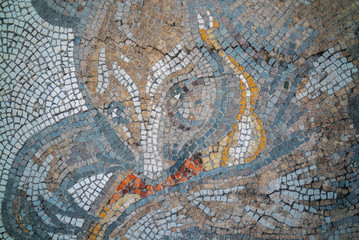 archaeology and historical mosaic works