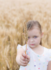 Girl holding a wheat in wheat field