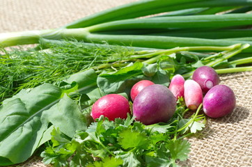 Fresh greens and radishes close-up