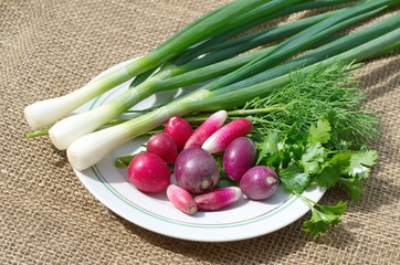 Fresh greens and radishes on a plate