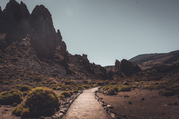 Nature and landscapes in Vulcanic Tenerife