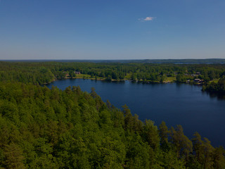 Fototapeta na wymiar Aerial view of lake in Sweden surrounded by forest and with some houses on the bank.