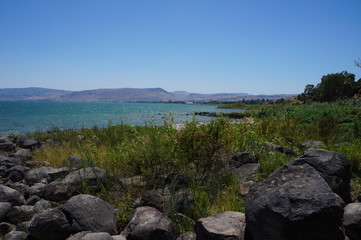 Tabgha Region Galilee Israel