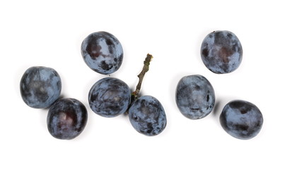 Fresh plums isolated on white background, top view