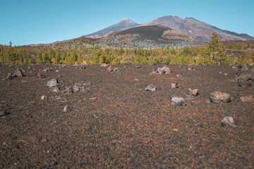 Nature and landscapes in Vulcanic Tenerife