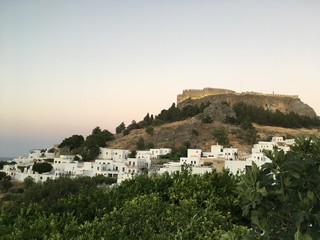 Fototapeta premium rodi