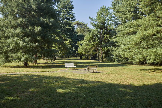 panche lungo il percorso del parco