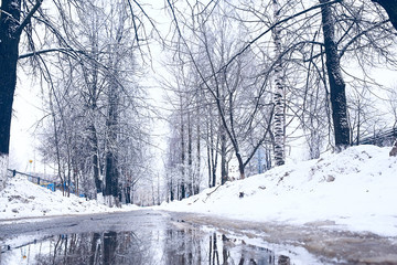 branches covered with snow / background winter trees and bushes without leaves, snowfall, concept of cold weather, frosty climate background