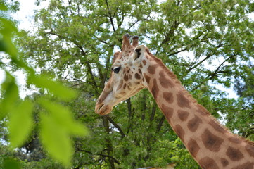 Une journée de visite au dos