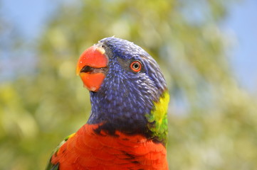 Une journée de visite au dos