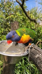 Une journée de visite au dos