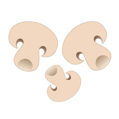 Sliced of mushroom. Top view macro detail sliced fresh mushroom texture. Vector illustration isolated on white background.