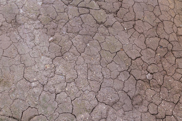 Dry cracked earth background, clay desert texture