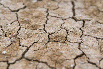 Dry cracked earth background, clay desert texture