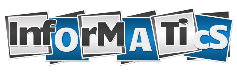 Informatics Blue Grey Blocks 