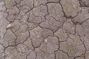 Dry soil texture on the ground