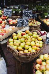 different types of vegetables on the farmers market
