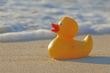 Badeente am Sandstrand 