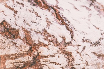 Brot close up