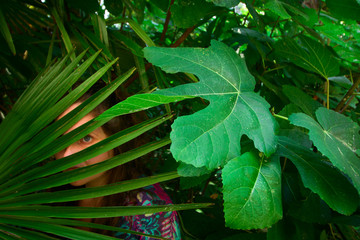 young woman with white skin in the rainforest