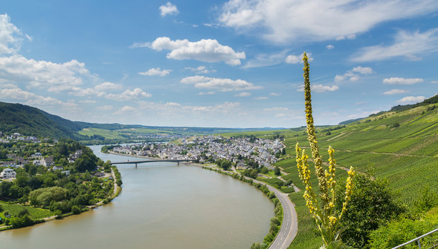 Mehring an der Mosel Deutschland Europa