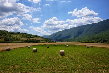 Fototapeta na wymiar field with round bales