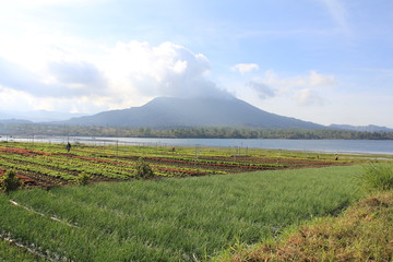 Fototapeta premium Mont Batur