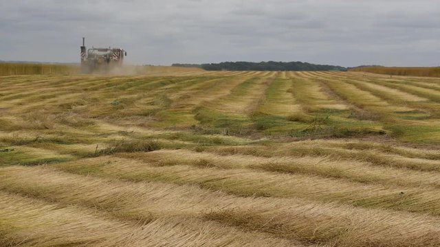 moisson des champs de lin