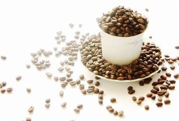 Beautiful roasted coffee beans