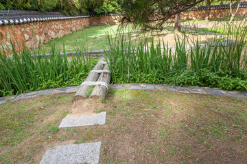 Korean beautiful culture