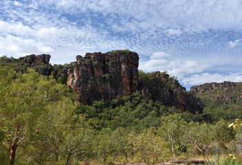 Fototapeta na wymiar Landscape of the Kakadu National Park at Nourlangie. Kakadu’s popular Burrungkuy (Nourlangie) region is known for its World Heritage rock art, colourful birdlife and walks and lookouts.