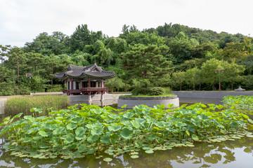 Korean beautiful culture