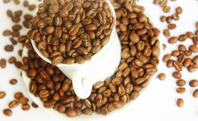 Beautiful roasted coffee beans