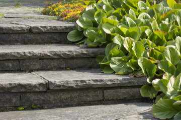 3 Treppenstufen aus Naturstein durch Steingarten mit Bergenien