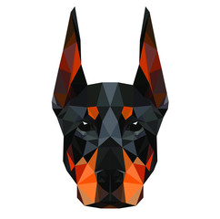 Low poly triangular dog doberman face on dark background, symmetrical vector illustration EPS 10 isolated.  Polygonal style trendy modern logo design. Suitable for printing on a t-shirt.