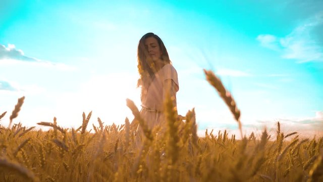 girl is walking along lifestyle the wheat field nature slow motion video. beautiful girl in white dress running nature freedom happiness hands to the side on field at sunset light and the blue sky